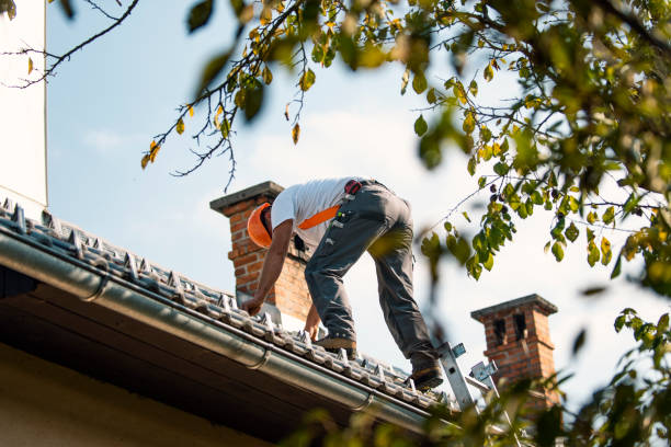 Best Residential Roof Replacement  in Broad Creek, NC