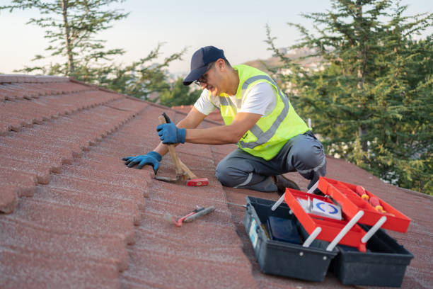 Best Roof Gutter Cleaning  in Broad Creek, NC